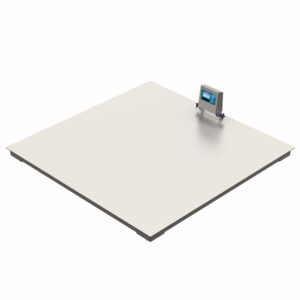 Balanzas de Suelo y Mesa Con CLP